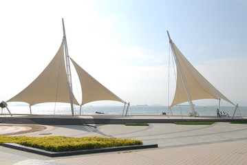 幼儿园科学教学设计活动方案