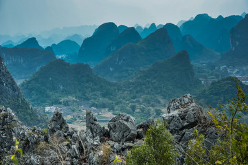 哪些花不能在家里养-