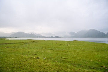 哪些花不能在家里养-