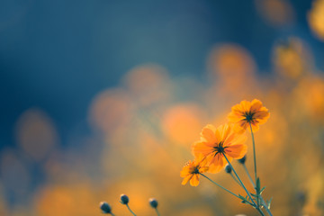 一年级读书卡好词佳句