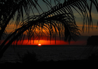 小学三年级数学重点是什么