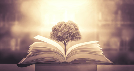 上哪儿找一年级要讲的故事呀儿？