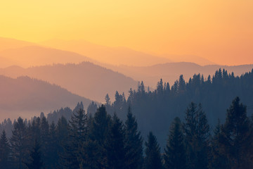 上哪儿找一年级要讲的故事呀儿？