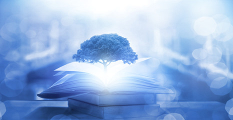 上犹陡水湖景区怎么样