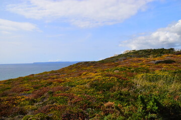 广州花都好吃的地方推荐