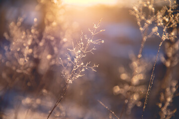 古诗不识庐山真面目的下一句是什么