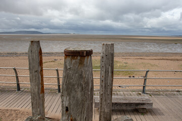 哪些花不能在家里养-