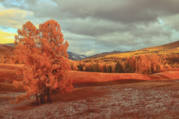 爱德读书会第06期《活出心花怒放的人生》共读第6天收获