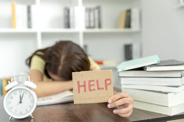 古诗不识庐山真面目的下一句是什么