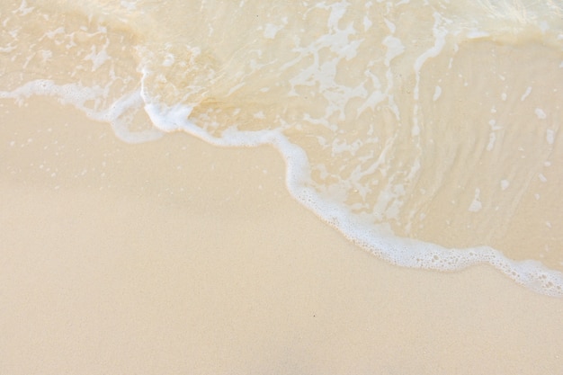 爱德读书会第06期《活出心花怒放的人生》共读第6天收获