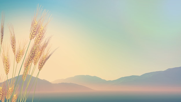 一年级读书卡好词佳句