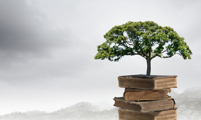 哪些花不能在家里养-